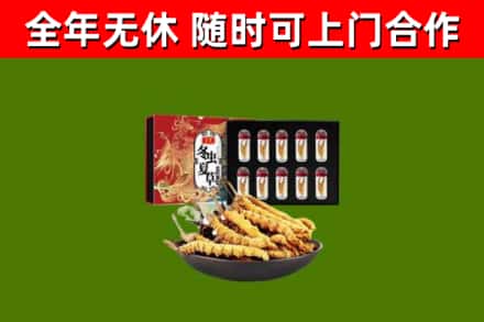 古蔺烟酒回收冬虫夏草礼盒.jpg