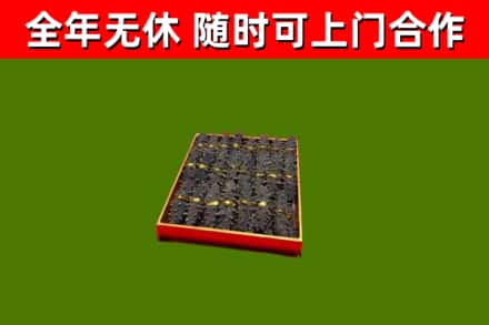 古蔺回收海参